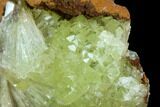 Yellow-Green Adamite Crystal Cluster - Durango, Mexico #127035-1